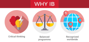 IB program